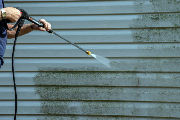 Best Gutter Cleaning  in Osceola, AR